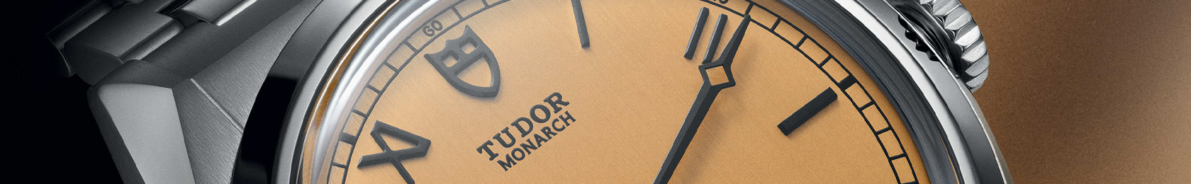 Collezione Tudor TUDOR Monarch ad Cosenza