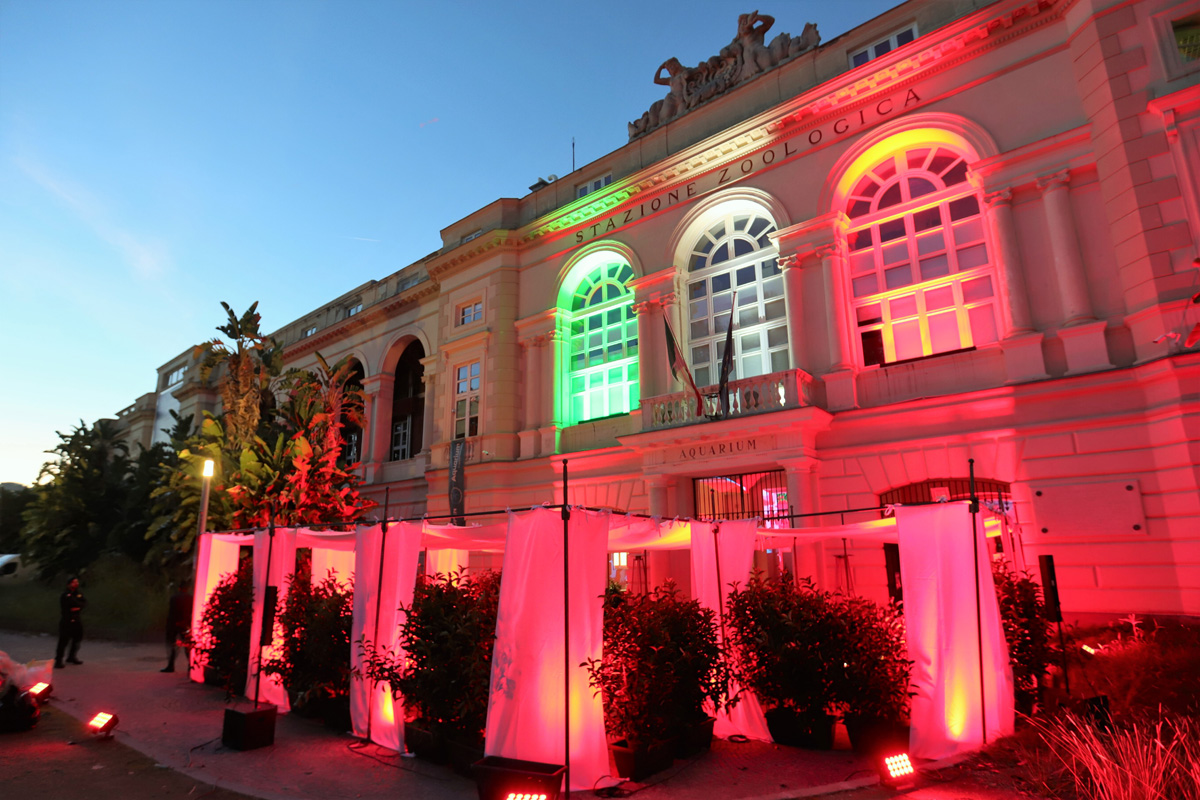 Evento Tudor
